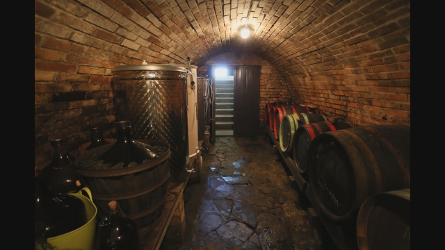 Otvorené vinárstva