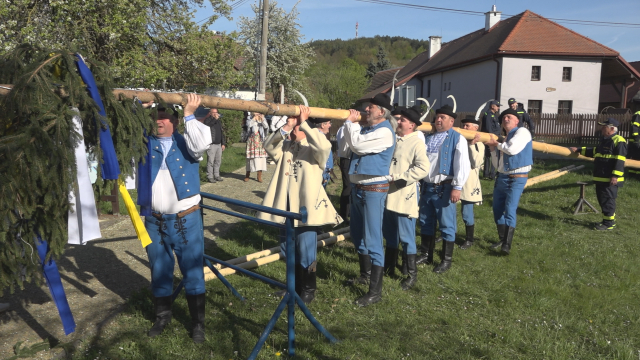Stavanie Májov na Myjave a Turej Lúke